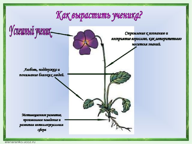 Презентация из опыта работы на тему"Творческие проекты как современная форма взаимодействия дошкольного учреждения и семьи"