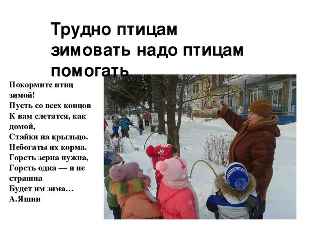 Экологический проект "Зимующие птицы"