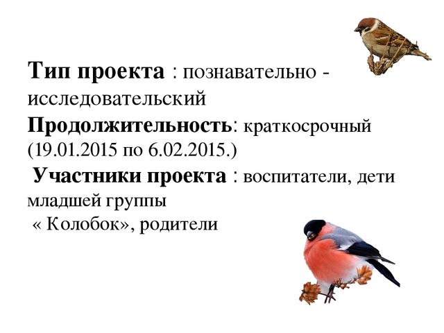 Экологический проект "Зимующие птицы"