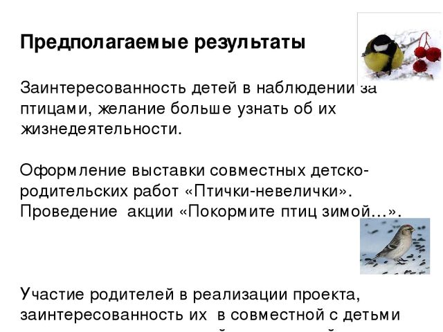 Экологический проект "Зимующие птицы"