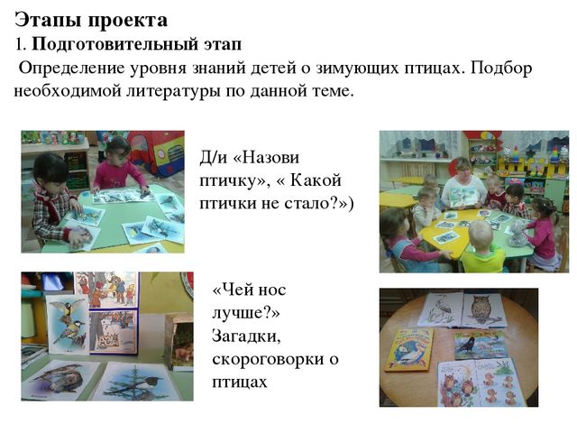 Экологический проект "Зимующие птицы"