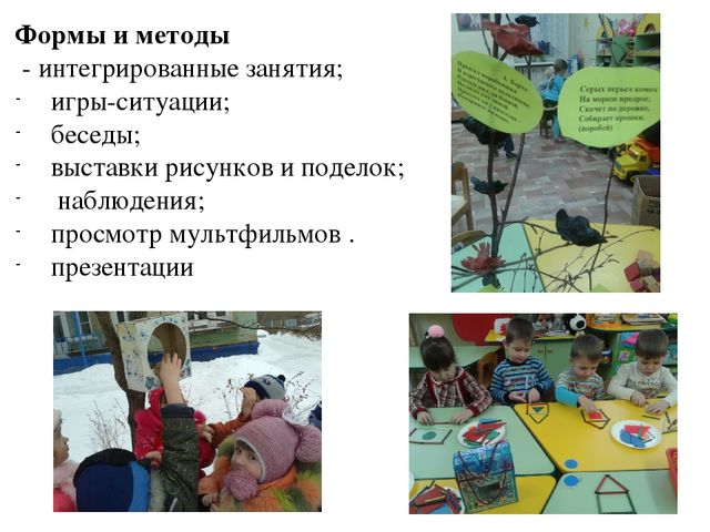 Экологический проект "Зимующие птицы"