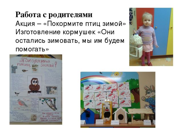 Экологический проект "Зимующие птицы"