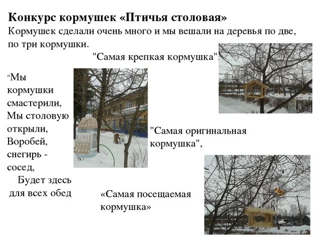 Экологический проект "Зимующие птицы"