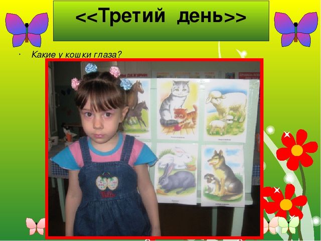 Презентация к творческому проекту "Животные" познавательное развитие