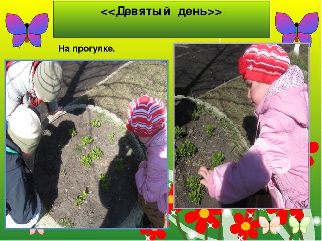 Презентация к творческому проекту "Животные" познавательное развитие