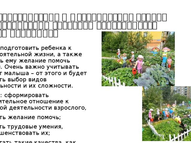 Теоретические и методические основы организации деятельности и общения дошкольников. Презентация