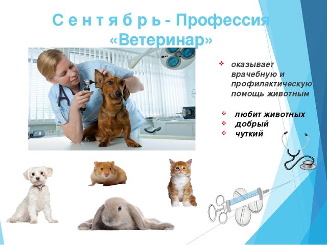 ПРОЕКТ «Современные профессии хороши- выбирай на вкус»