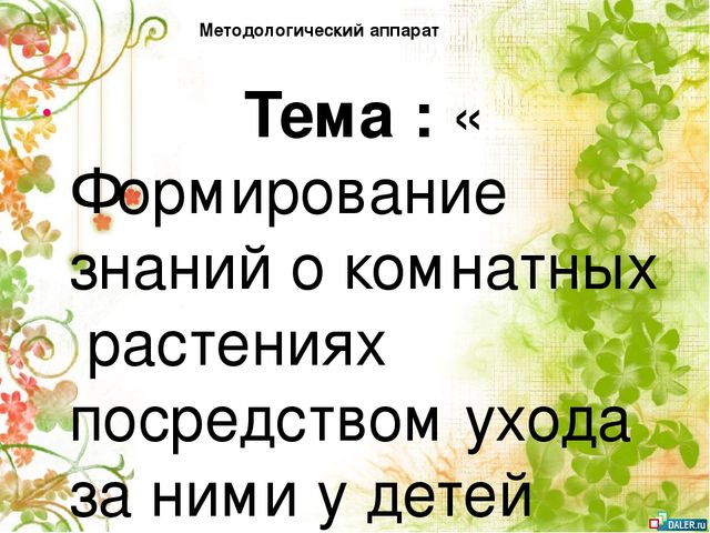 Опытно- экспериментальный проект по формирование знаний о комнатных растениях посредством ухода за ними у детей старшей группы
