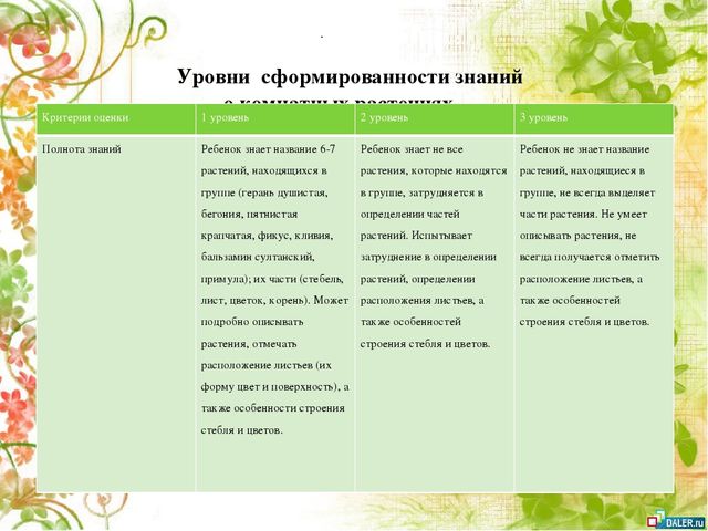 Опытно- экспериментальный проект по формирование знаний о комнатных растениях посредством ухода за ними у детей старшей группы