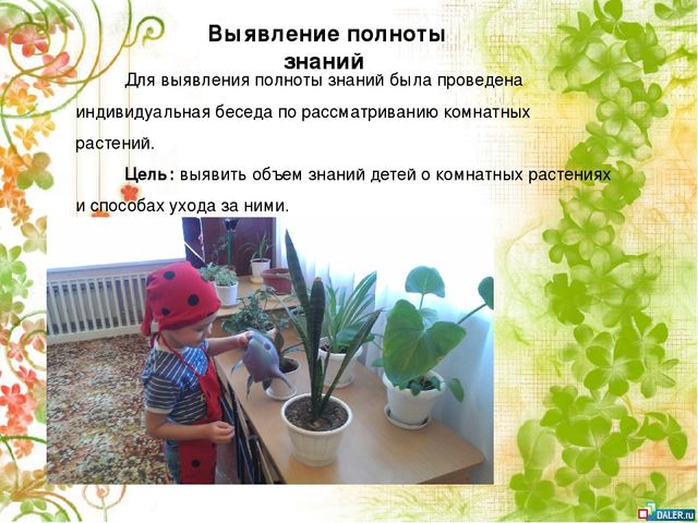 Опытно- экспериментальный проект по формирование знаний о комнатных растениях посредством ухода за ними у детей старшей группы