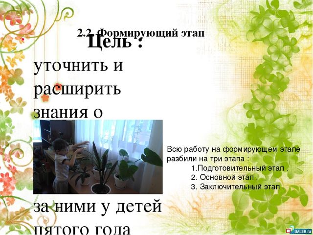 Опытно- экспериментальный проект по формирование знаний о комнатных растениях посредством ухода за ними у детей старшей группы