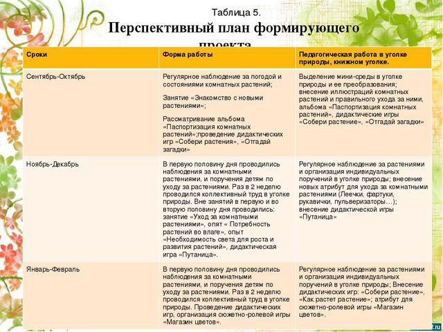 Опытно- экспериментальный проект по формирование знаний о комнатных растениях посредством ухода за ними у детей старшей группы
