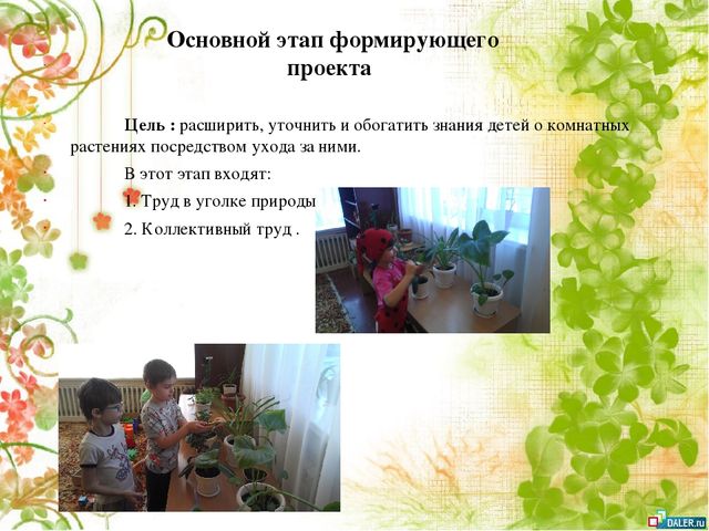 Опытно- экспериментальный проект по формирование знаний о комнатных растениях посредством ухода за ними у детей старшей группы