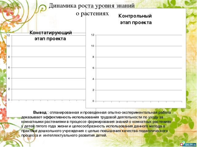 Опытно- экспериментальный проект по формирование знаний о комнатных растениях посредством ухода за ними у детей старшей группы