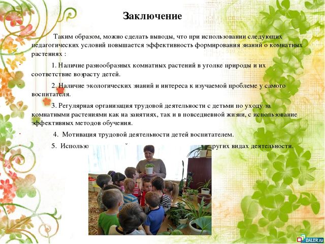 Опытно- экспериментальный проект по формирование знаний о комнатных растениях посредством ухода за ними у детей старшей группы