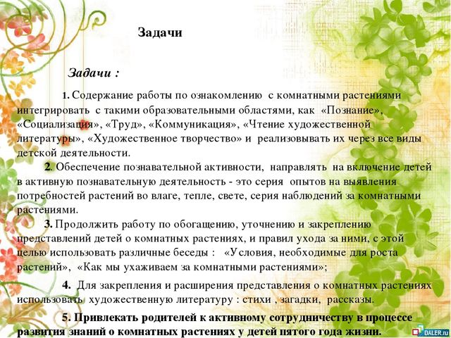 Опытно- экспериментальный проект по формирование знаний о комнатных растениях посредством ухода за ними у детей старшей группы