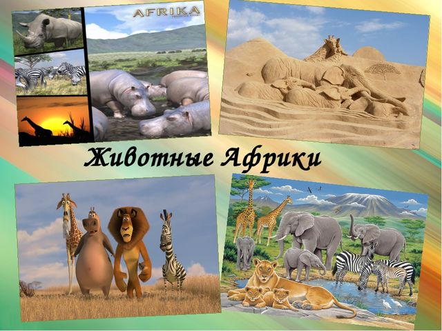 Презентация для дошкольников "Животные Африки"