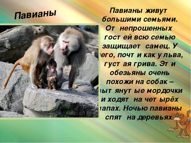 Презентация для дошкольников "Животные Африки"