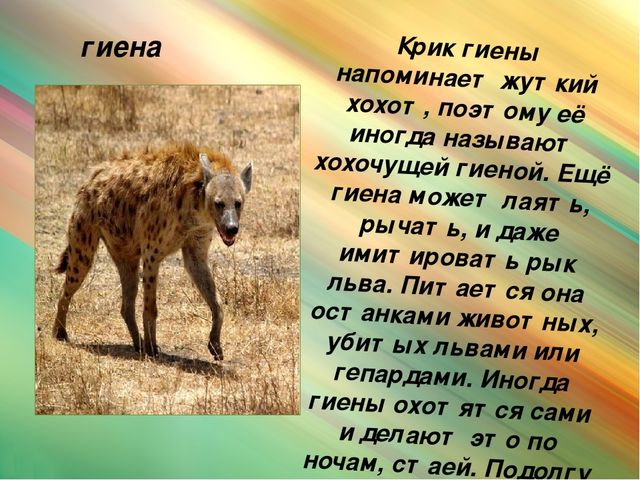 Презентация для дошкольников "Животные Африки"