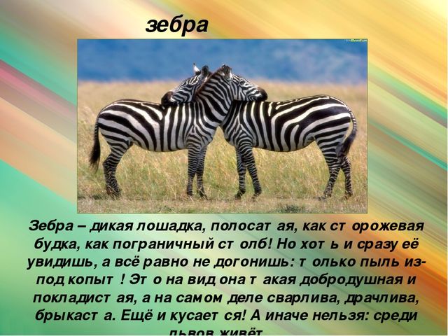 Презентация для дошкольников "Животные Африки"