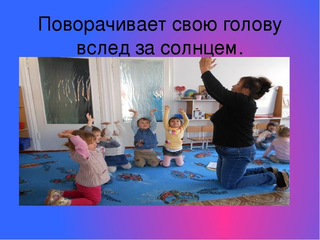 Презентация "Развитие речи и эмоциональное развитие детей"