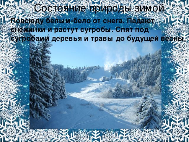 Презентация. Характерные признаки зимы.