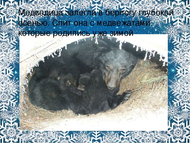 Презентация. Характерные признаки зимы.