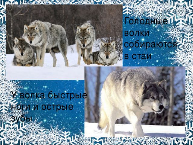 Презентация. Характерные признаки зимы.
