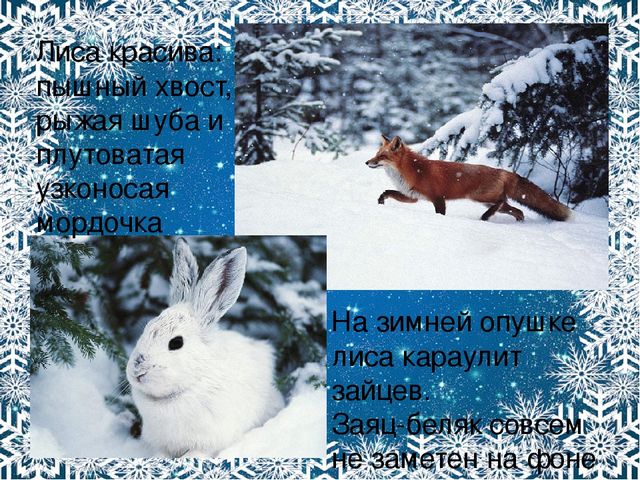 Презентация. Характерные признаки зимы.