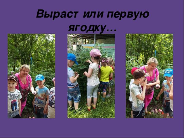 Презентация на тему:"Вот оно какое наше лето"
