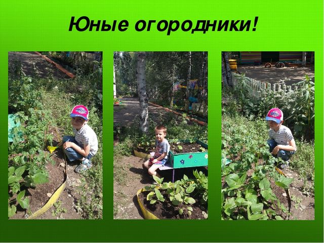 Презентация на тему:"Вот оно какое наше лето"