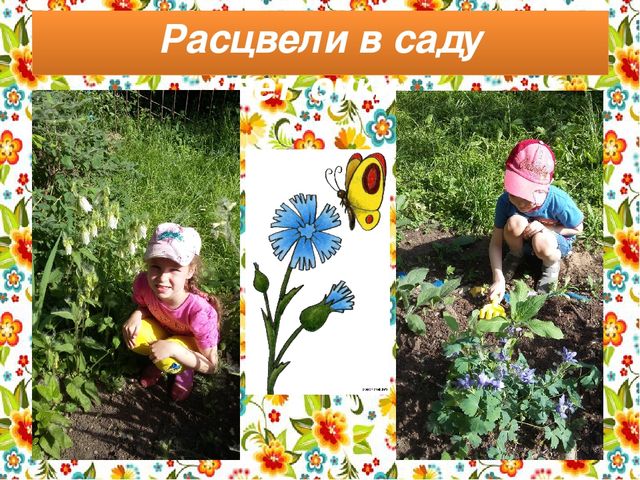 Презентация на тему:"Вот оно какое наше лето"