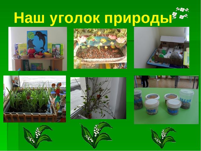 Презентация на тему:"Формирование экологической культуры дошкольников"