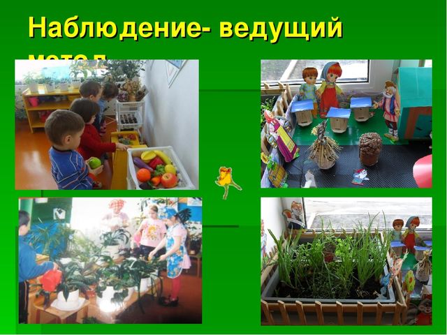 Презентация на тему:"Формирование экологической культуры дошкольников"