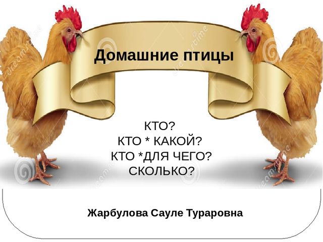 Организация речевой деятельности детей дошкольного возраста