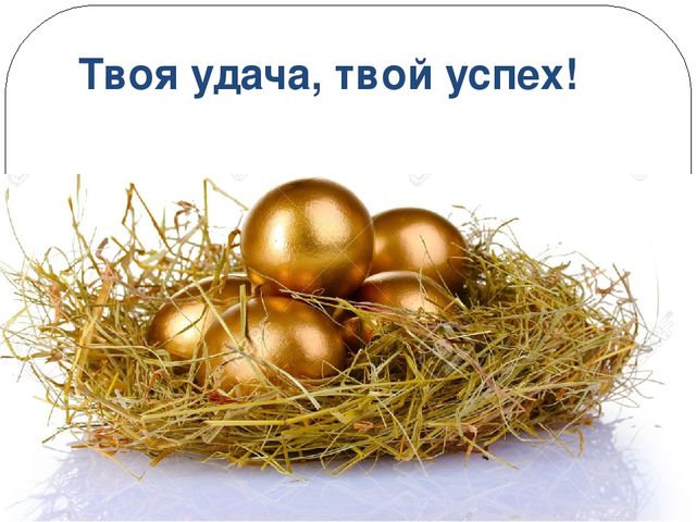 Организация речевой деятельности детей дошкольного возраста