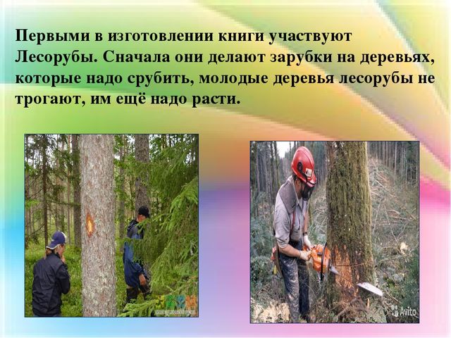 Презентация Как рождается книга
