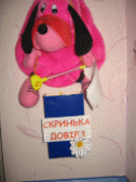 Picture 10