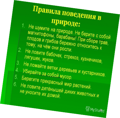 Picture 1