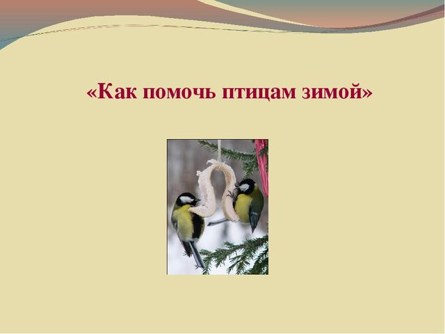 Презентация " Покормите птиц зимой!"