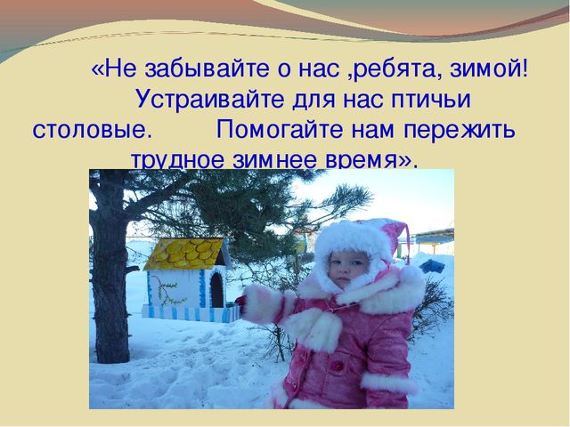 Презентация " Покормите птиц зимой!"