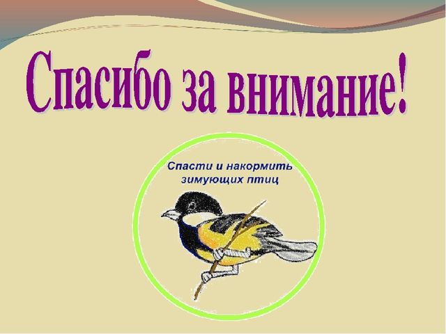 Презентация " Покормите птиц зимой!"