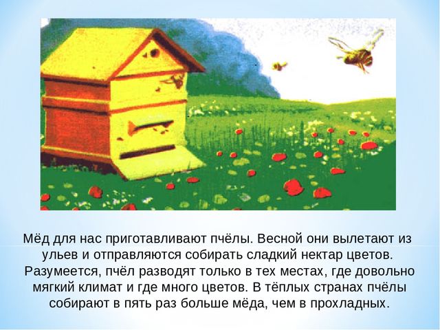 Презентация по окружающему миру "Как получается мед"