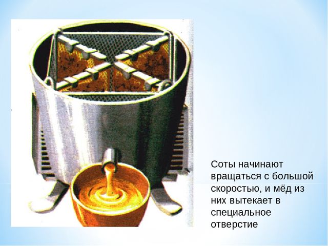 Презентация по окружающему миру "Как получается мед"