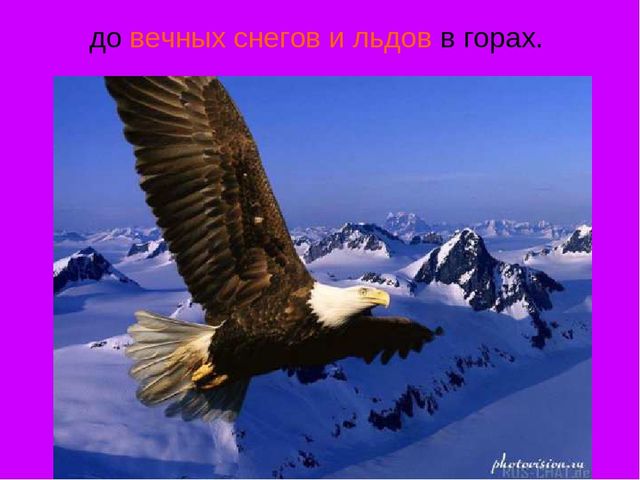 Презентация по окружающему миру в старшей группе "горы Кавказа"
