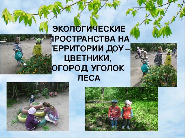 Презентация "Интеграция патриотического и экологического воспитания старших дошкольников"