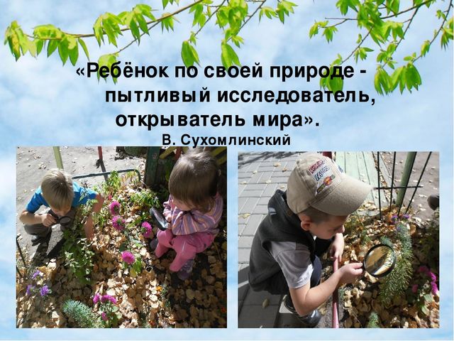 Презентация "Интеграция патриотического и экологического воспитания старших дошкольников"