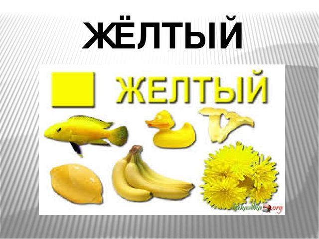 Презентация для детей дошкольного возраста "Учим цвета"
