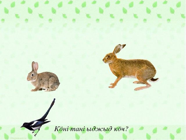 Интерактивная игра по обучению коми языку. Тема "Лесные звери"